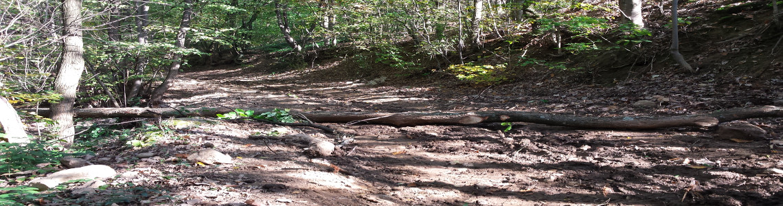 Bumpy Road